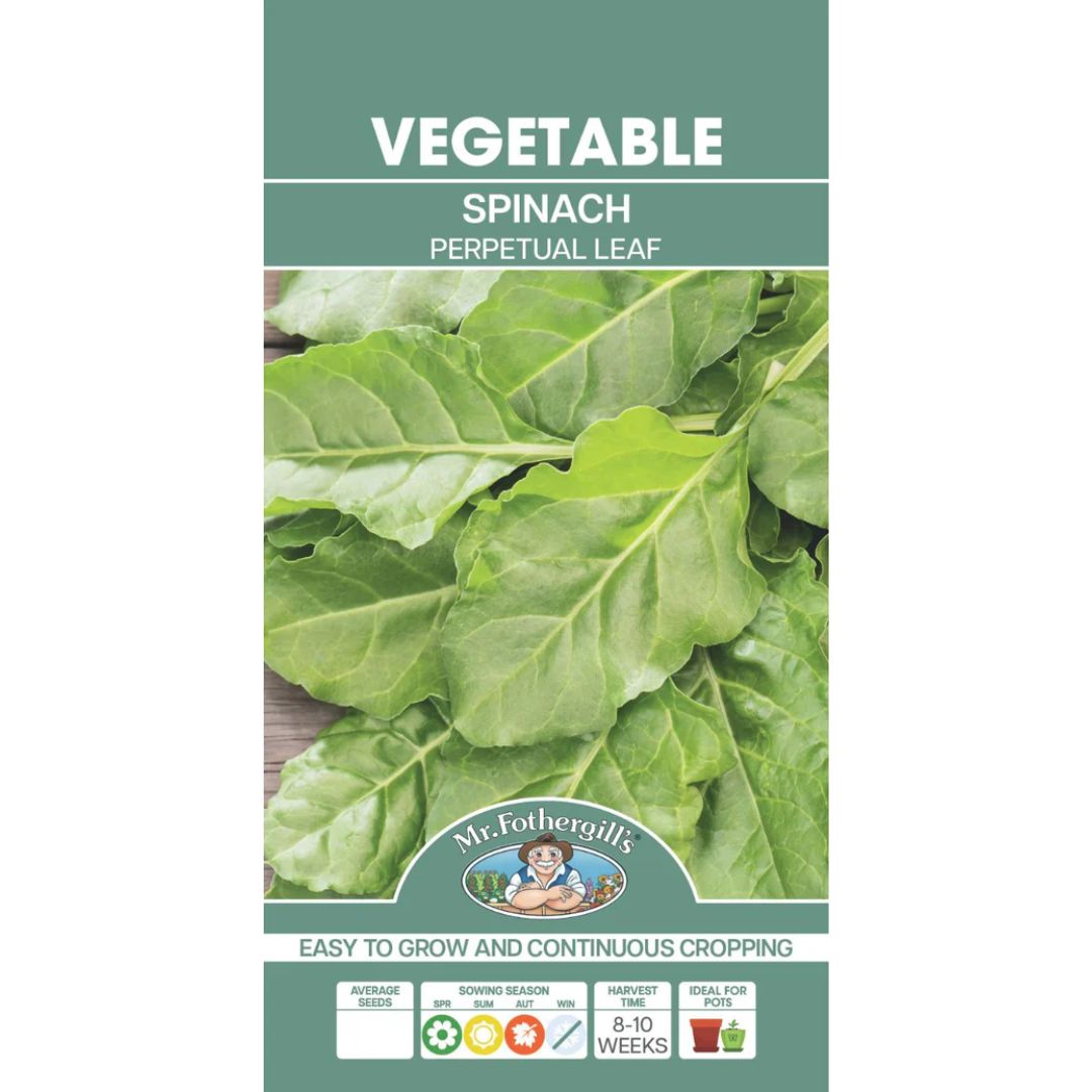 Fothergills Spinach Perpetual Leaf 