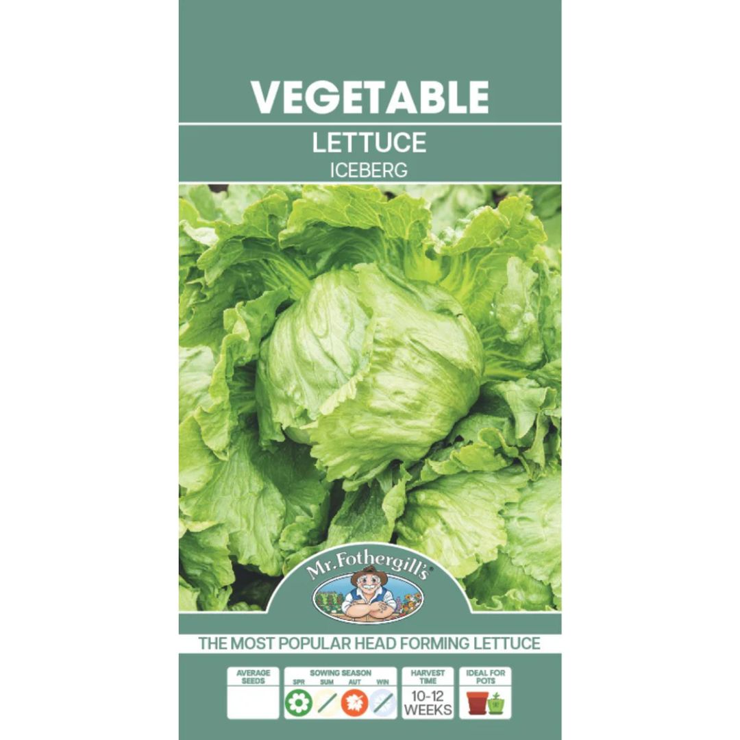 Fothergills Lettuce Iceberg