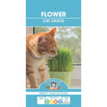 Fothergills Cat Grass