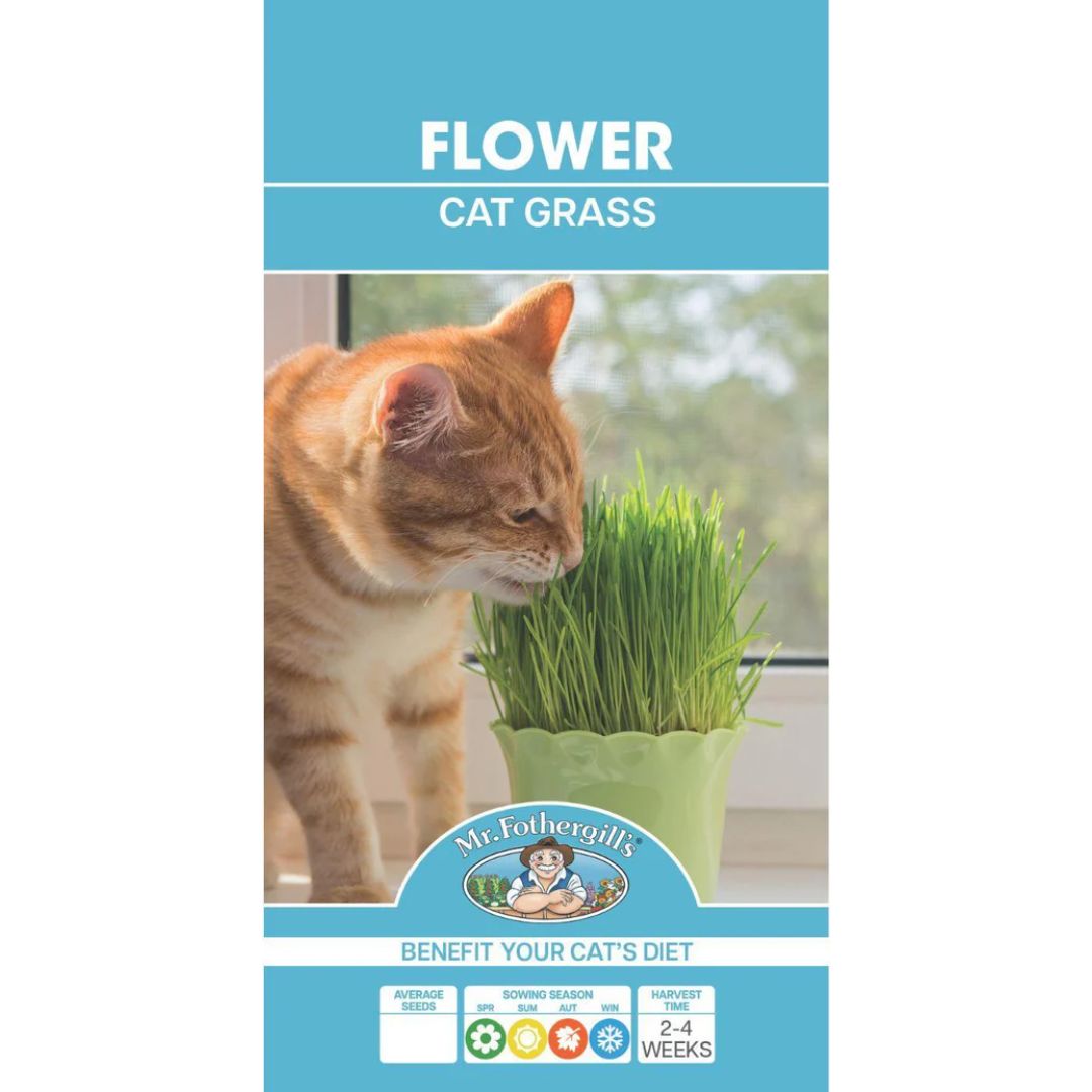 Fothergills Cat Grass