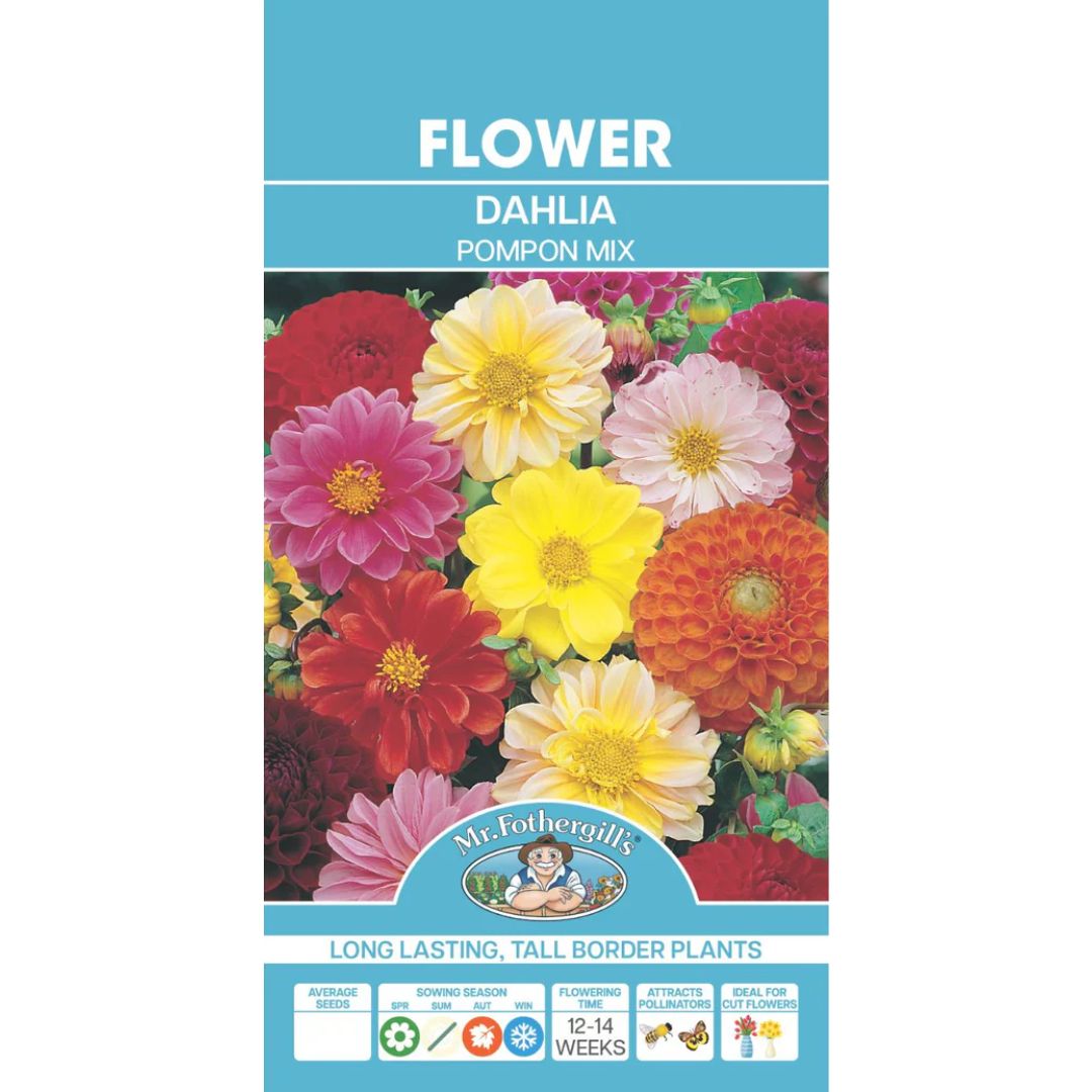 Fothergills Dahlia Pompon