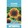 Fothergills Sunflower Golden Prominence