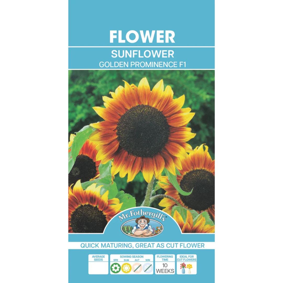 Fothergills Sunflower Golden Prominence