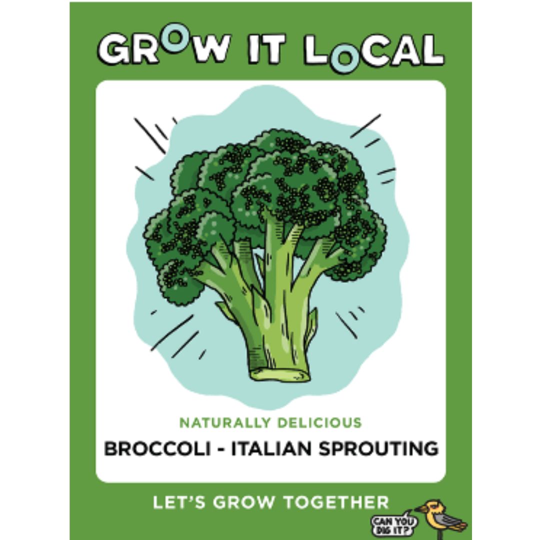 Grow It Local Broccoli - Italian Sprouting 