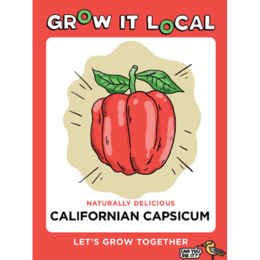 Grow It Local - Californian Capsicum