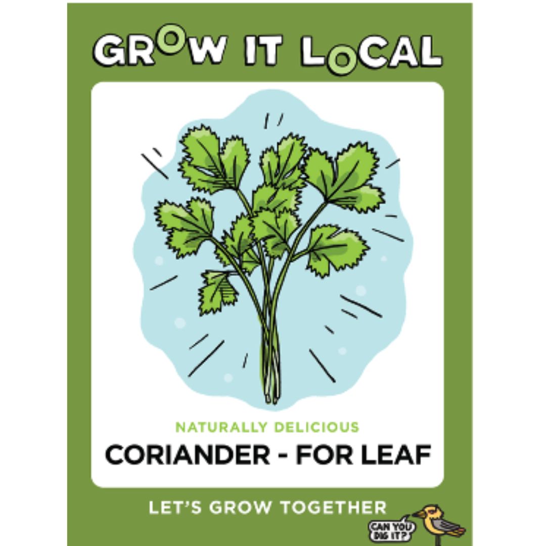 Grow It Local - Coriander For Leaf