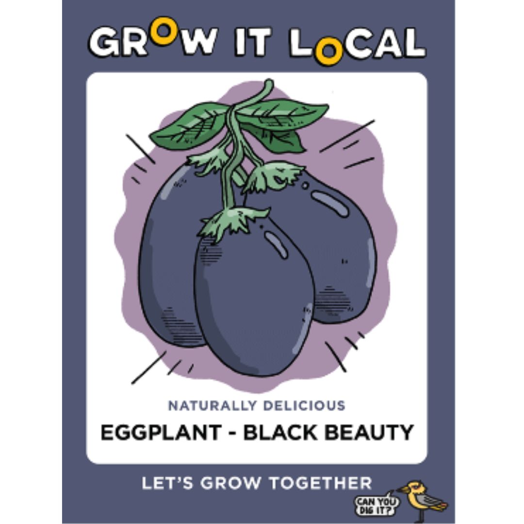 Grow It Local - Eggplant Black Beauty