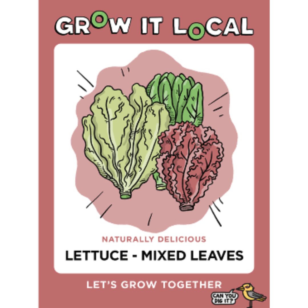 Grow It Local - Lettuce Mixed Leaves