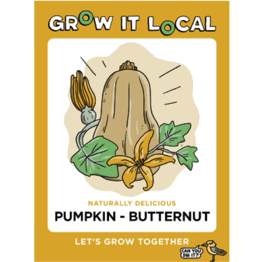 Grow It Local - Pumpkin Butternut