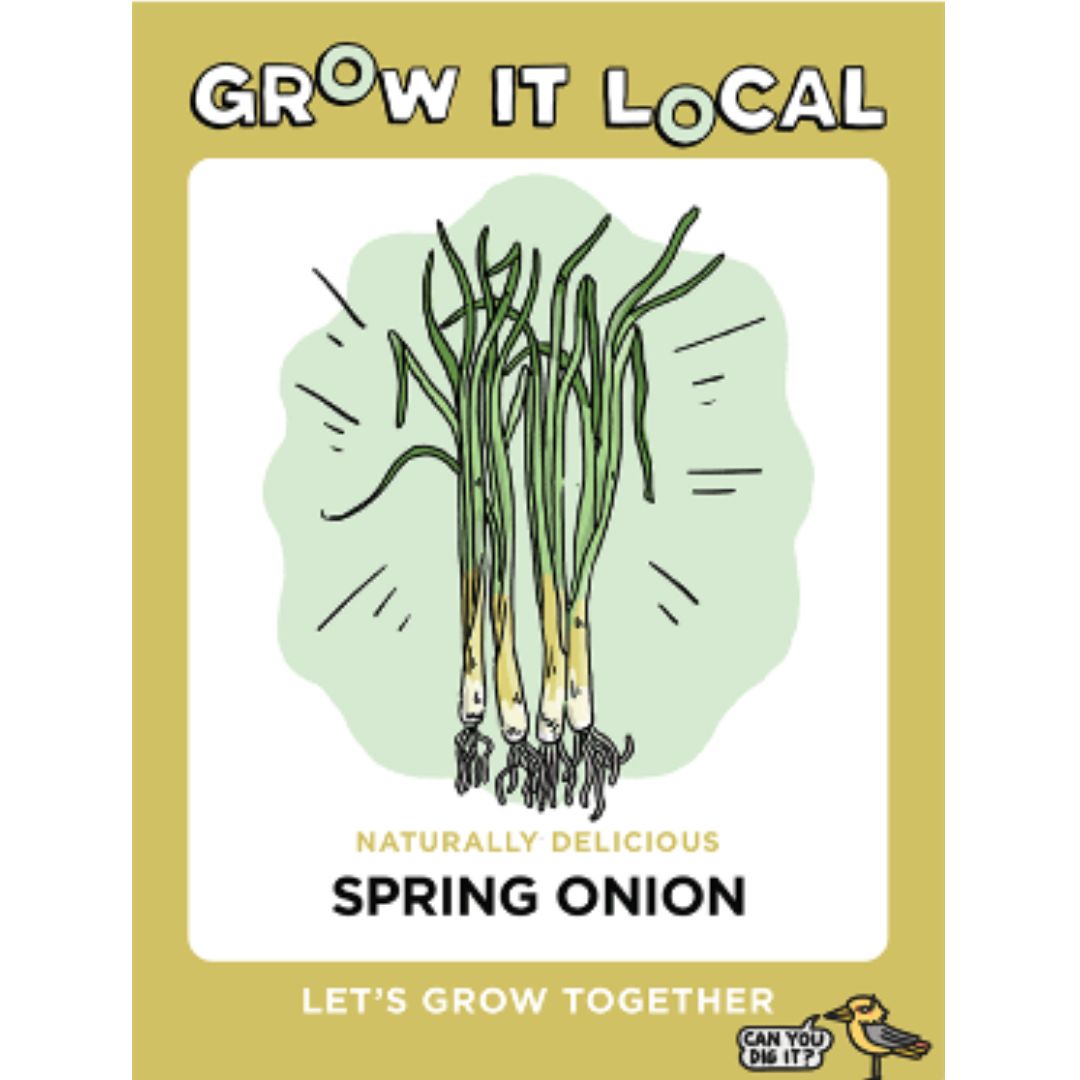 Grow It Local - Spring Onion