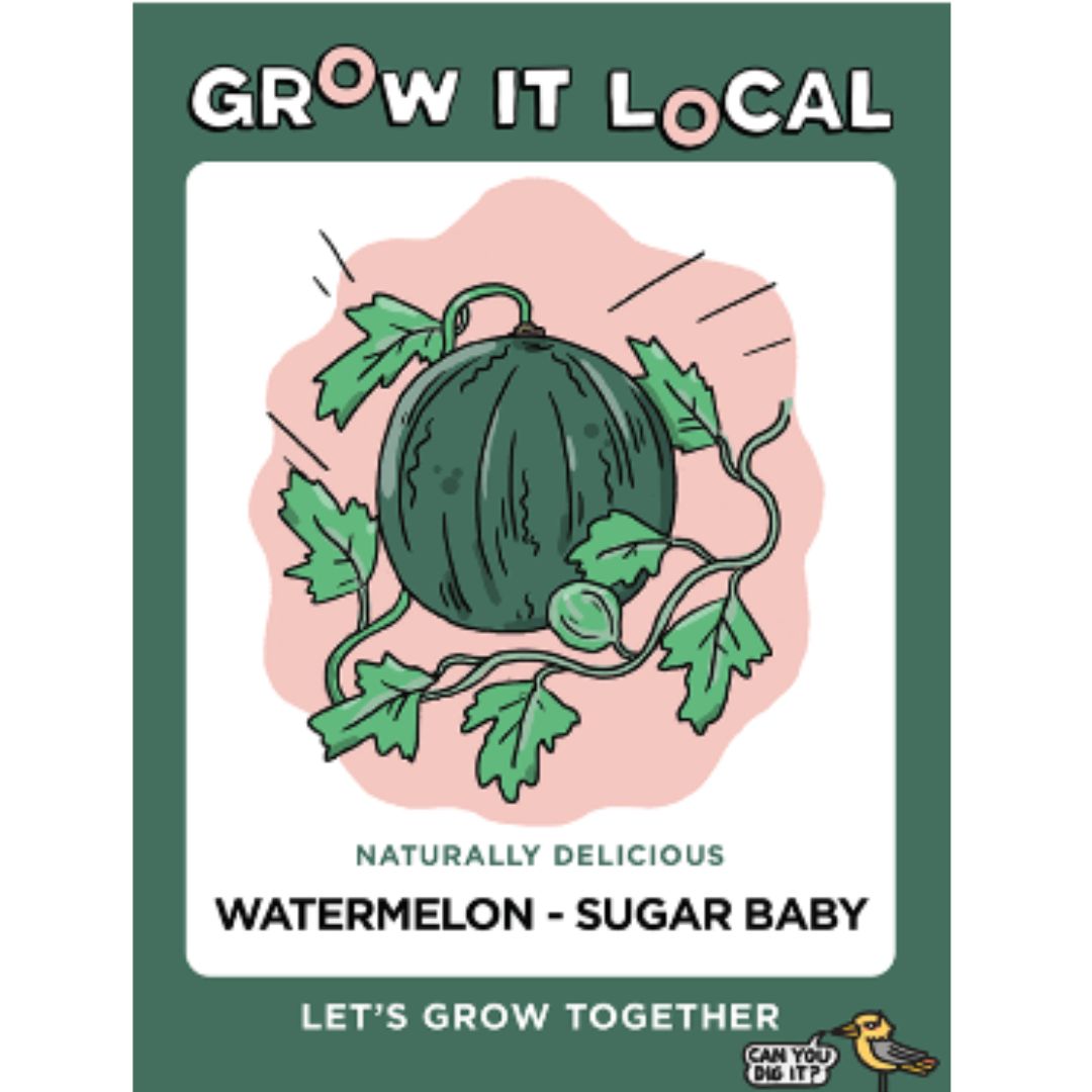 Grow It Local - Watermelon Sugar Baby