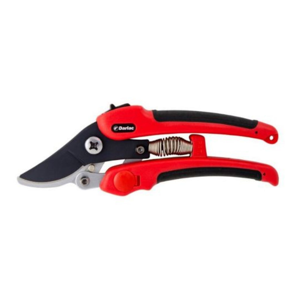 Compound Action Pruner