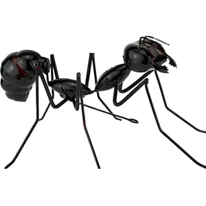 Small Black Ant Walking