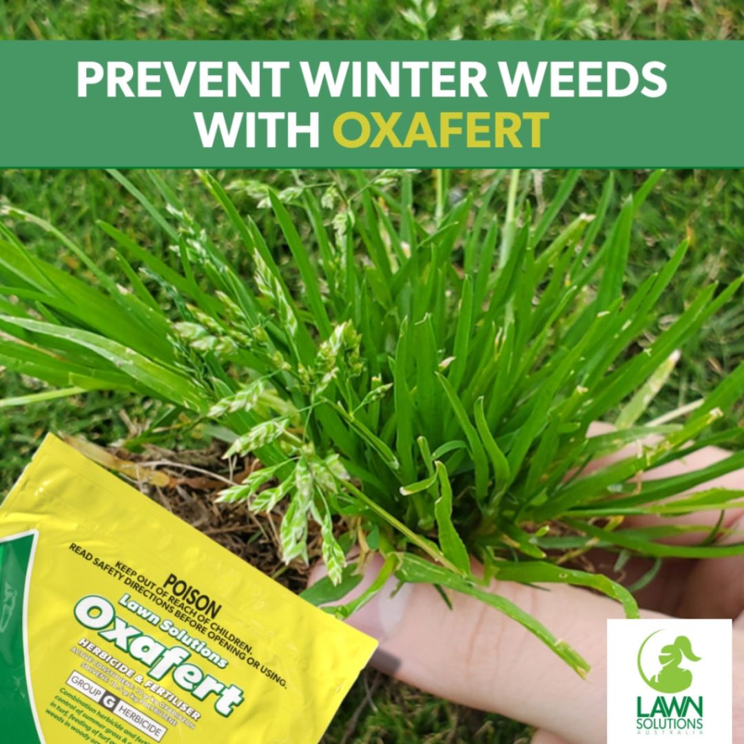 Lawn Solutions Oxafert Herbicide & Fertiliser 3kg 