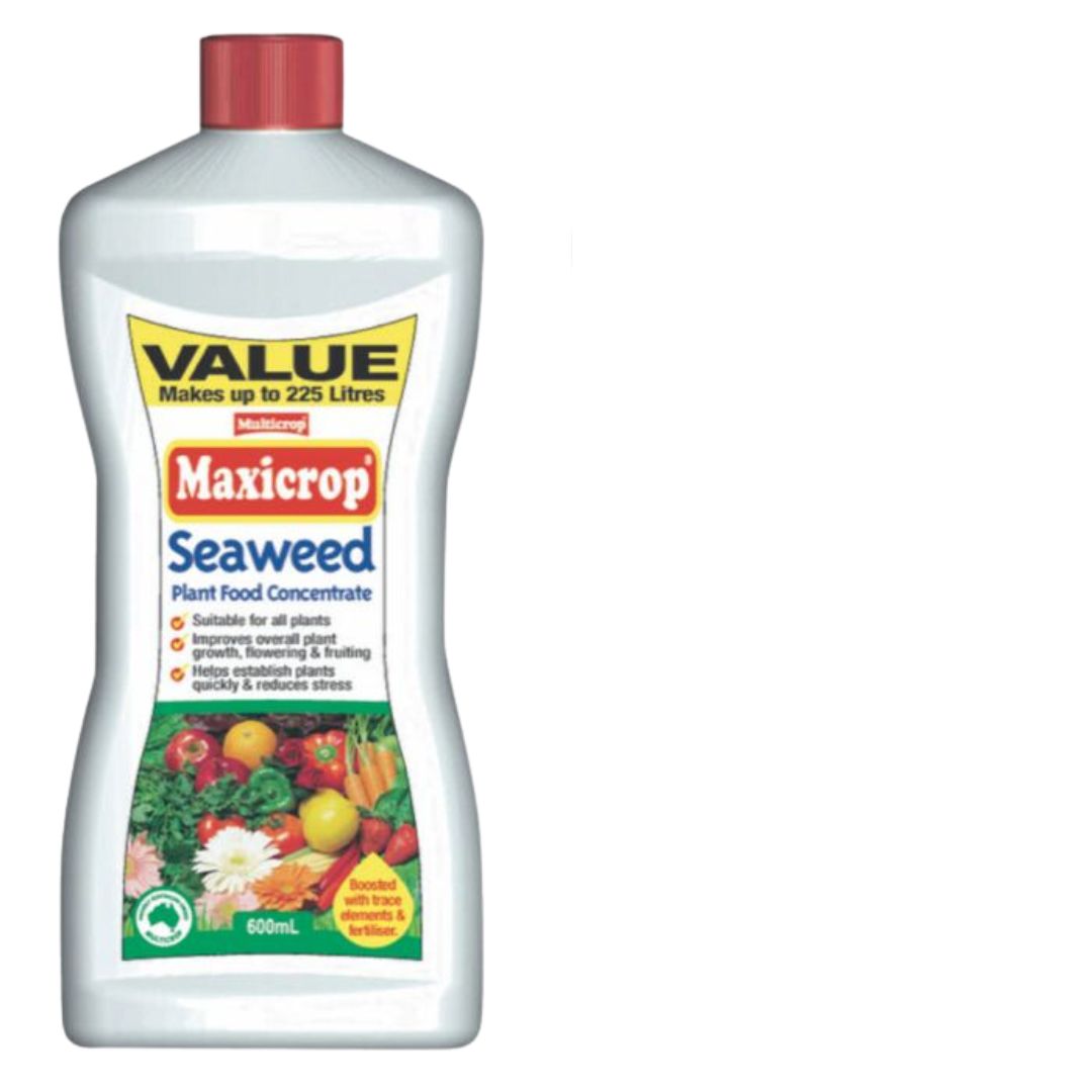 Multicrop Maxicrop Seaweed Plant Food Conc 600ml