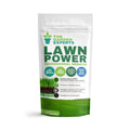The Garden Experts Lawn Power 4kg