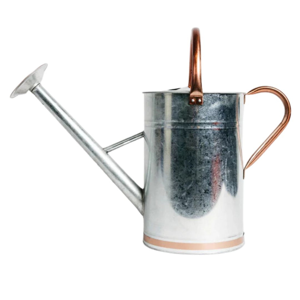 Watering Can Copper Trim Gal 9lt