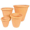 Citrus Pot Terracotta [sz:small Clr:terracotta]