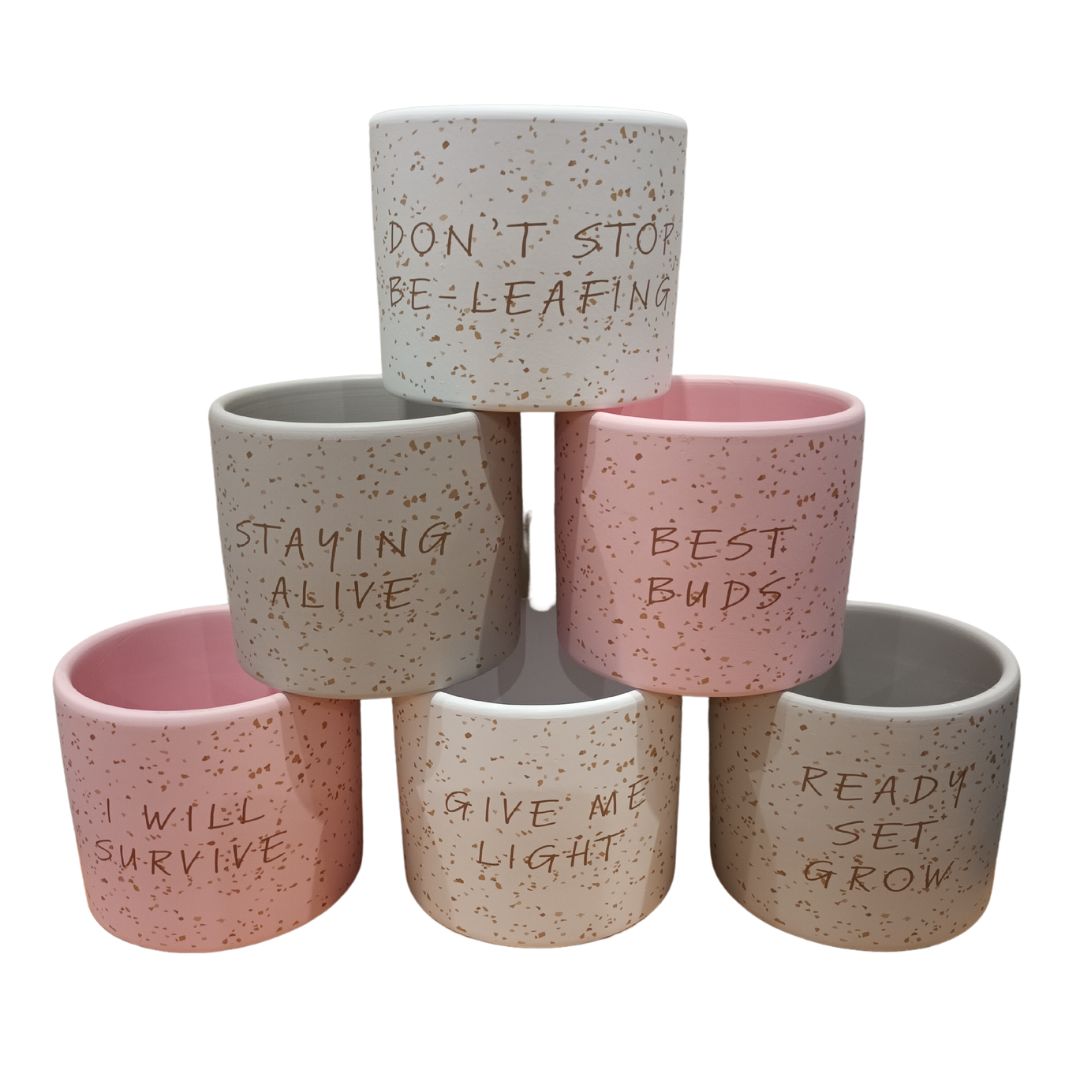 Habitat 101 Quirky Quotes Planter Pots 14x12cm