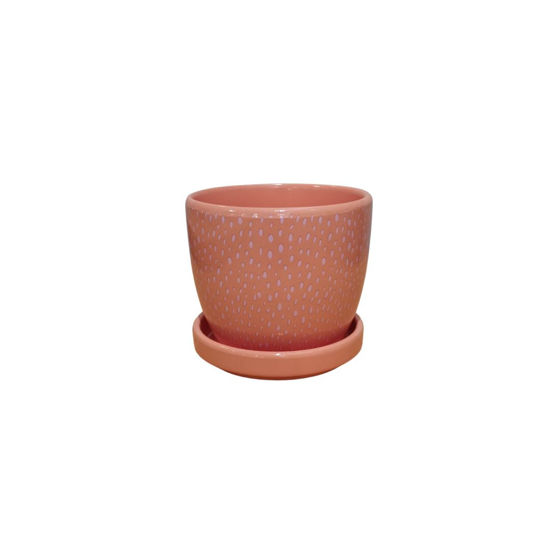 Habitat101 Anya Planter Pot 12 X 10cm