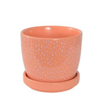Load image into Gallery viewer, Habitat101 Anya Planter Pot 12x10cm
