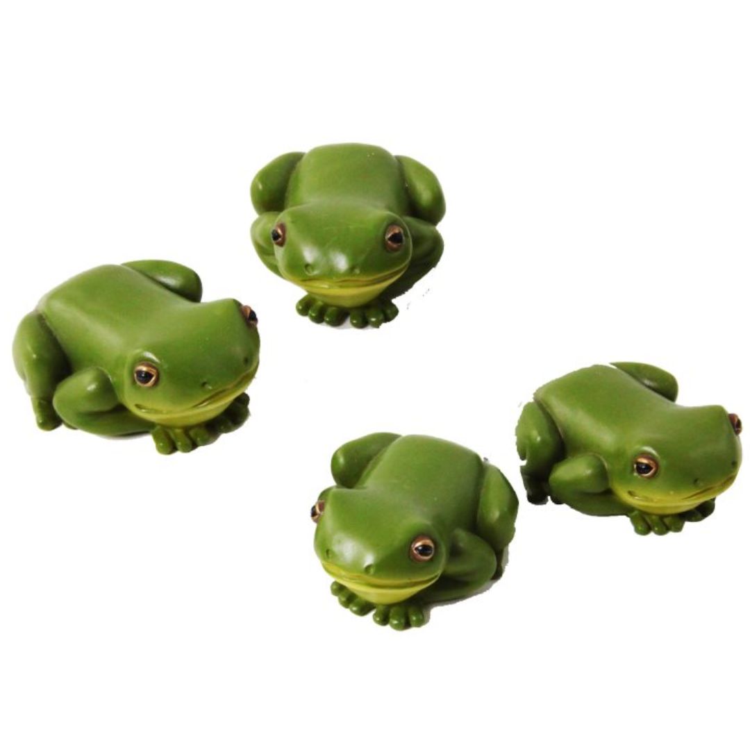 Rain Forest Frog 6cm