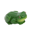 Rainforest Lucky Frog Magnet