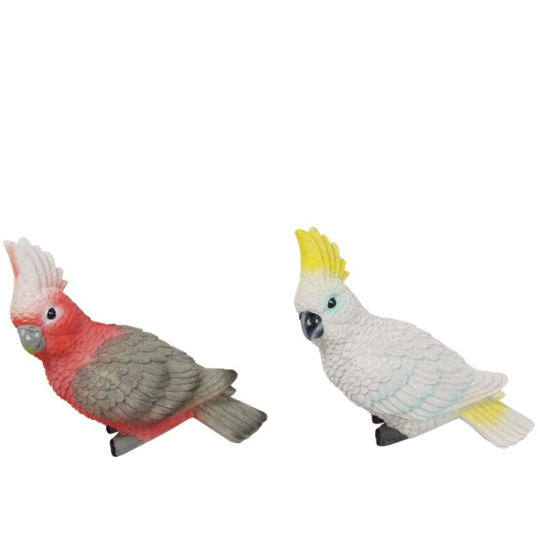 Cockatoo & Galah 20cm