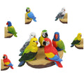 17cm Budgie/parrot/lorikeet