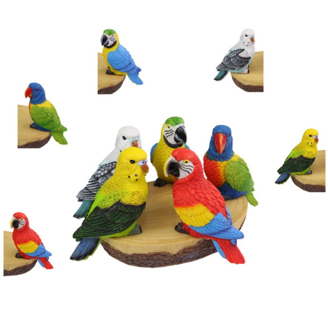 17cm Budgie/parrot/lorikeet