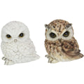 Cute Sitting White/brown Owl 12cm