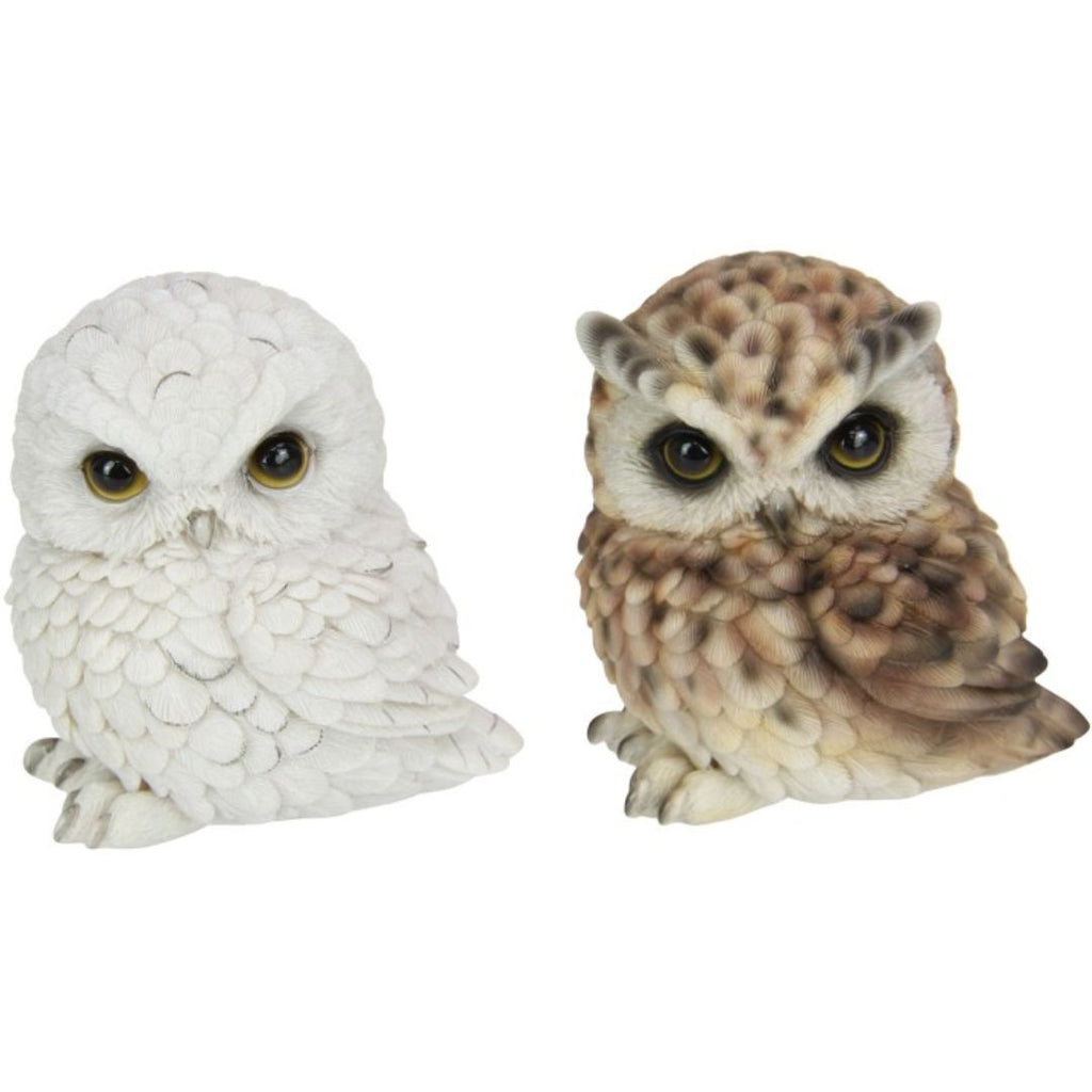 Cute Sitting White/brown Owl 12cm
