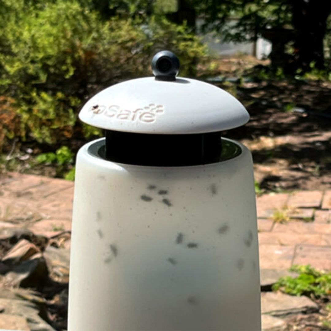 Envirosafe Alfresco Fly Trap