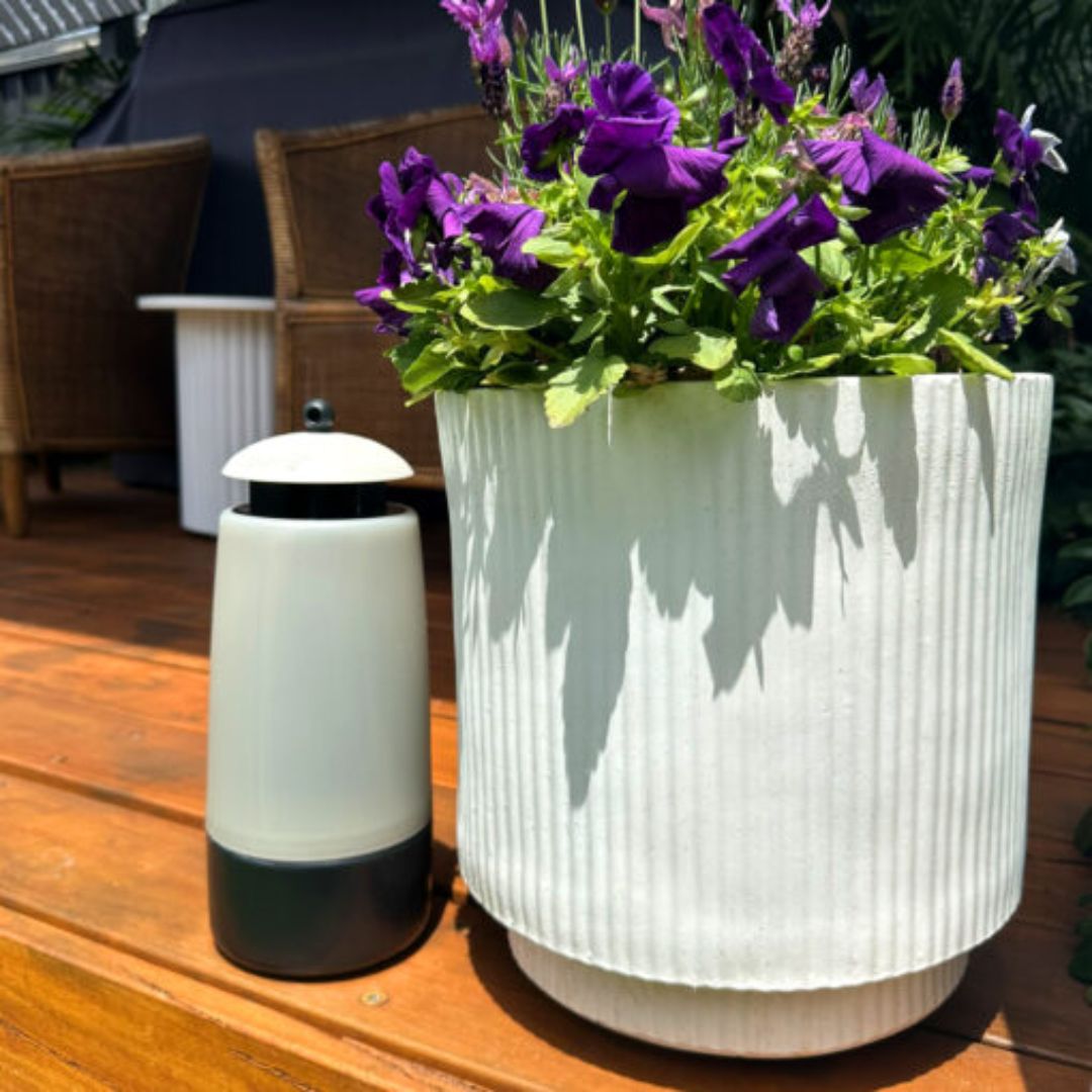 Envirosafe Alfresco Fly Trap