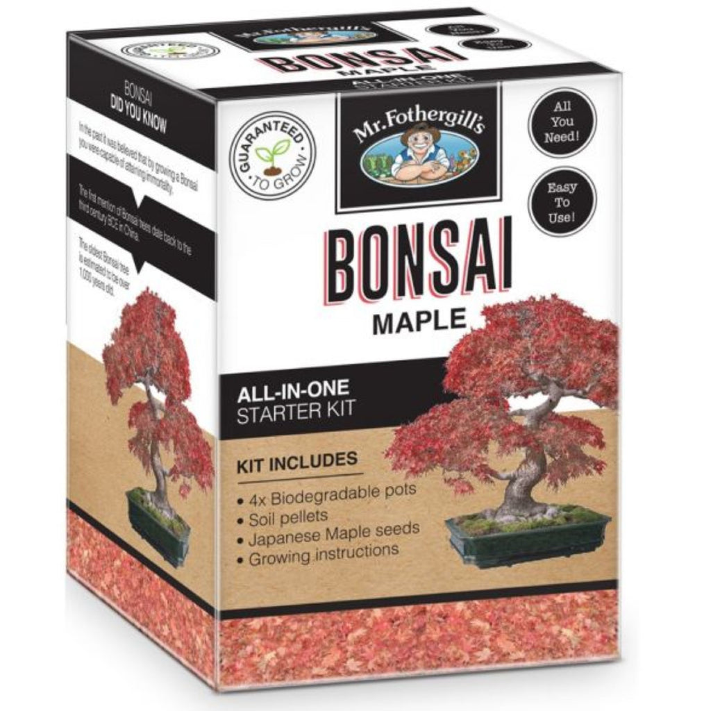 Bonsai Kit- Maple