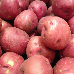 Fothergills Seed Potato Pontiac 1kg