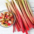 Rhubarb Mammoth Red