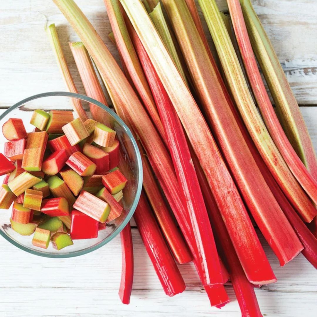 Rhubarb Mammoth Red