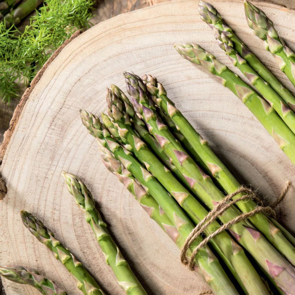 Fothergills Asparagus Mary Washington