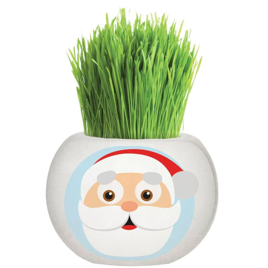 Fothergills Grass Hair Kit Christmas - Santa