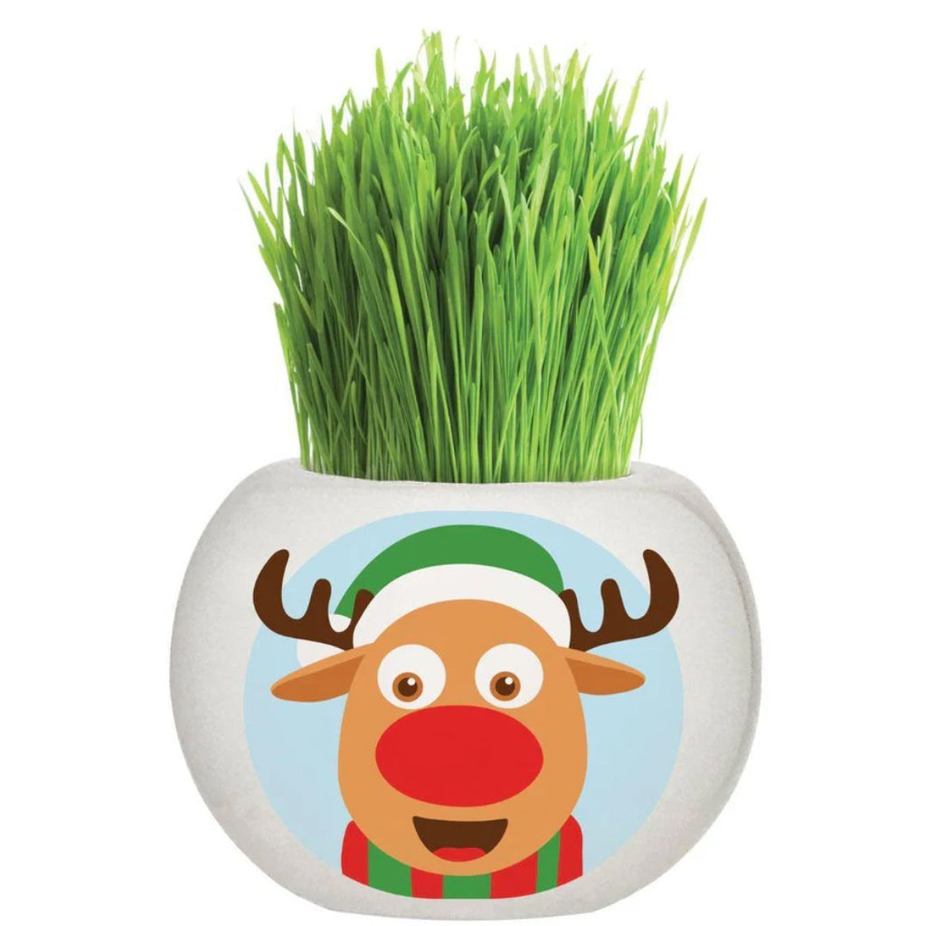 Fothergills Grass Hair Kit Christmas - Rudolph