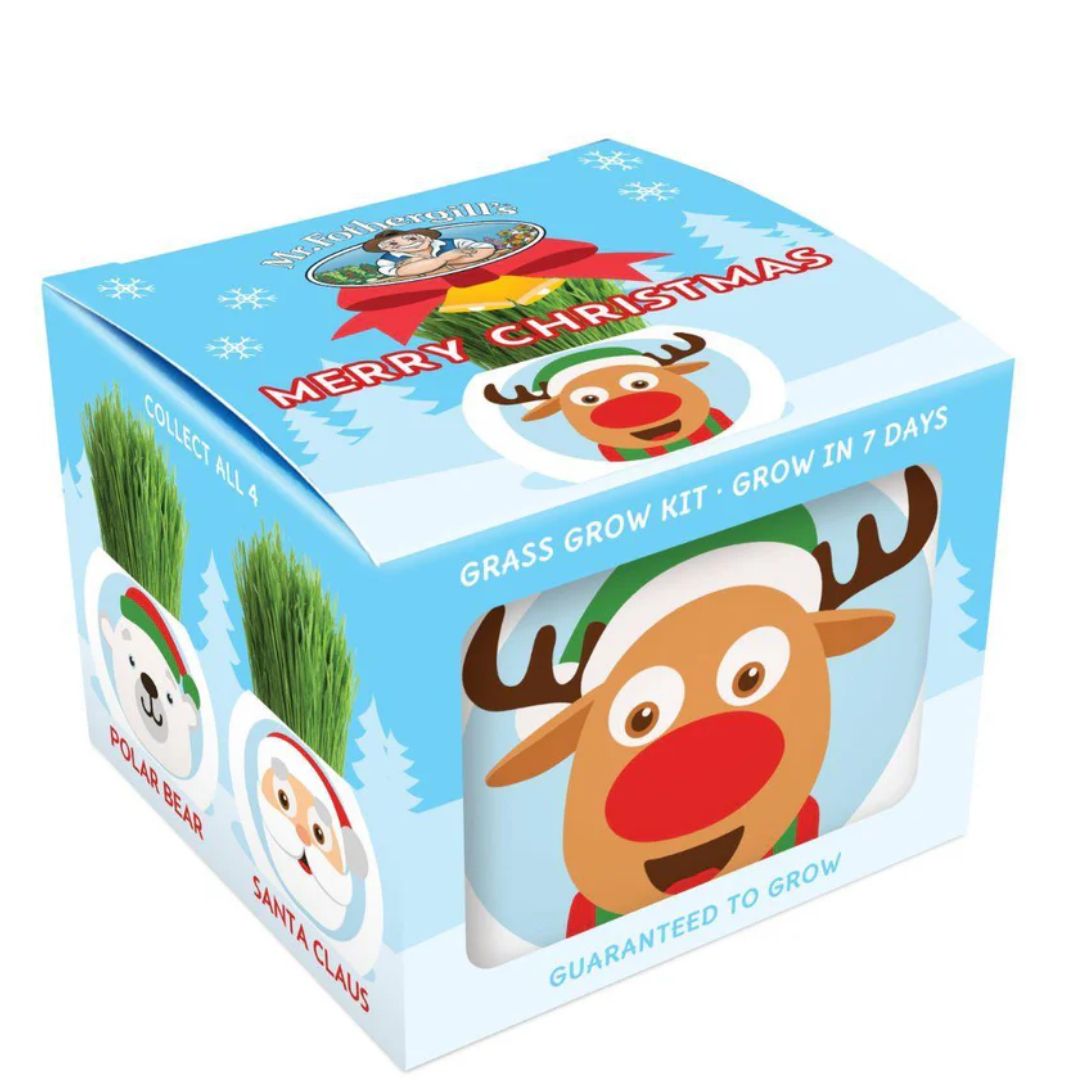 Fothergills Grass Hair Kit Christmas - Rudolph