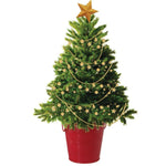 Load image into Gallery viewer, Christmas Tree Kit
