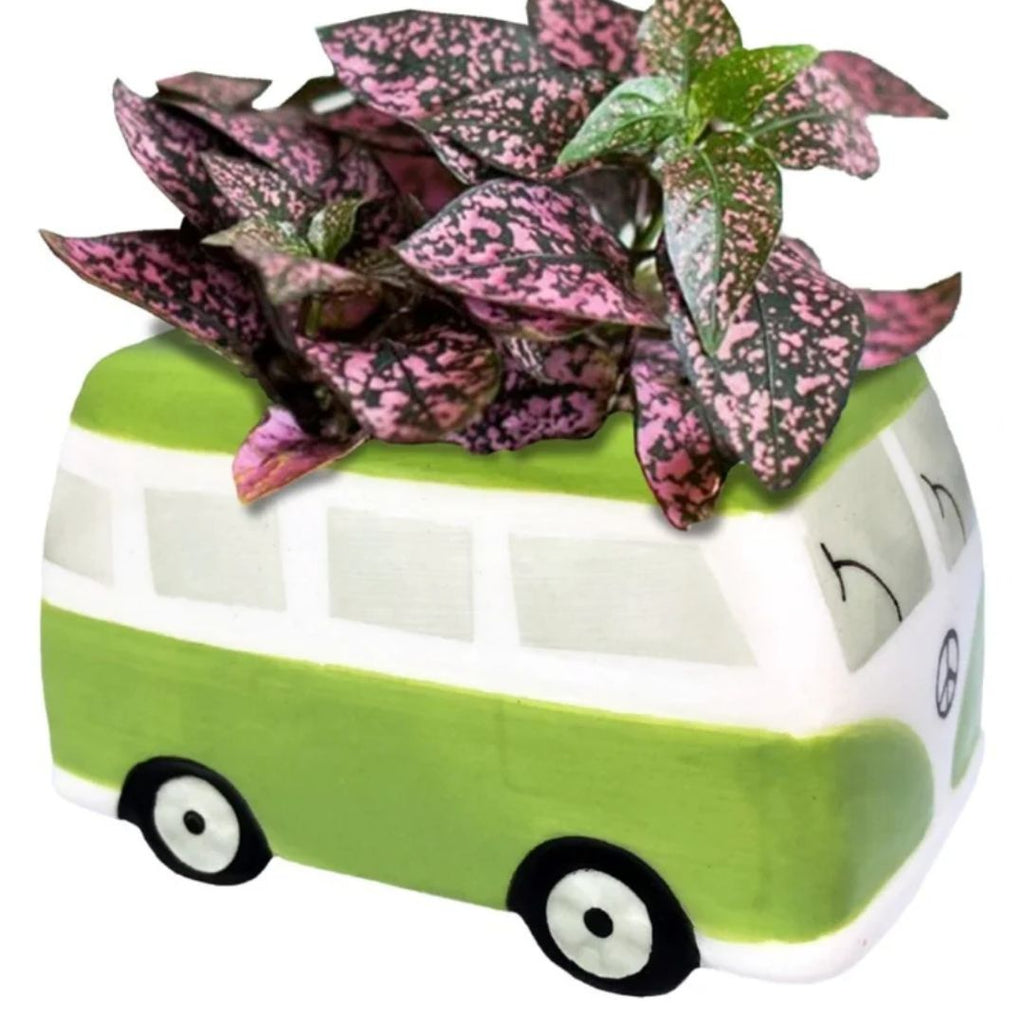 Fothergills Minivan Grow Kit Green 