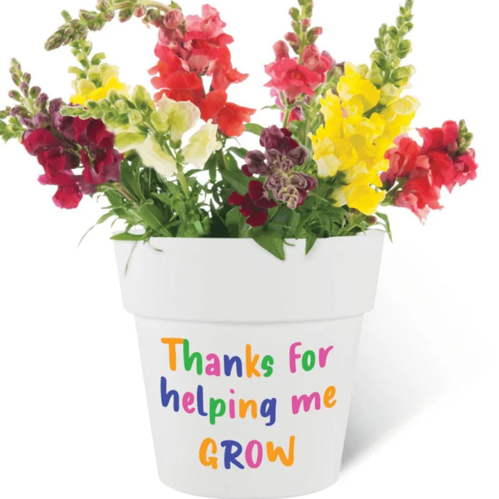 Fothergills Thank You  Pot Kit