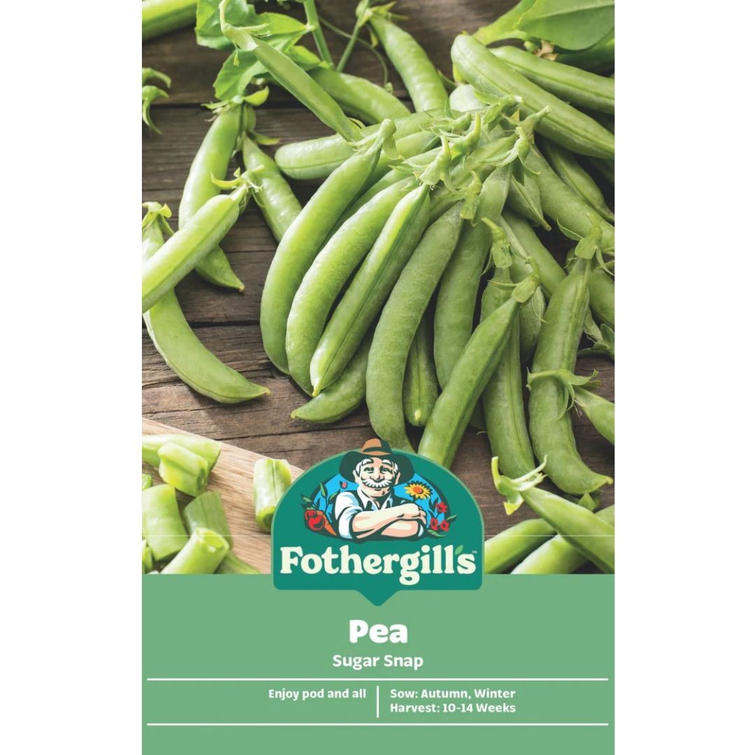 Fothergills Pea Sugar Snap