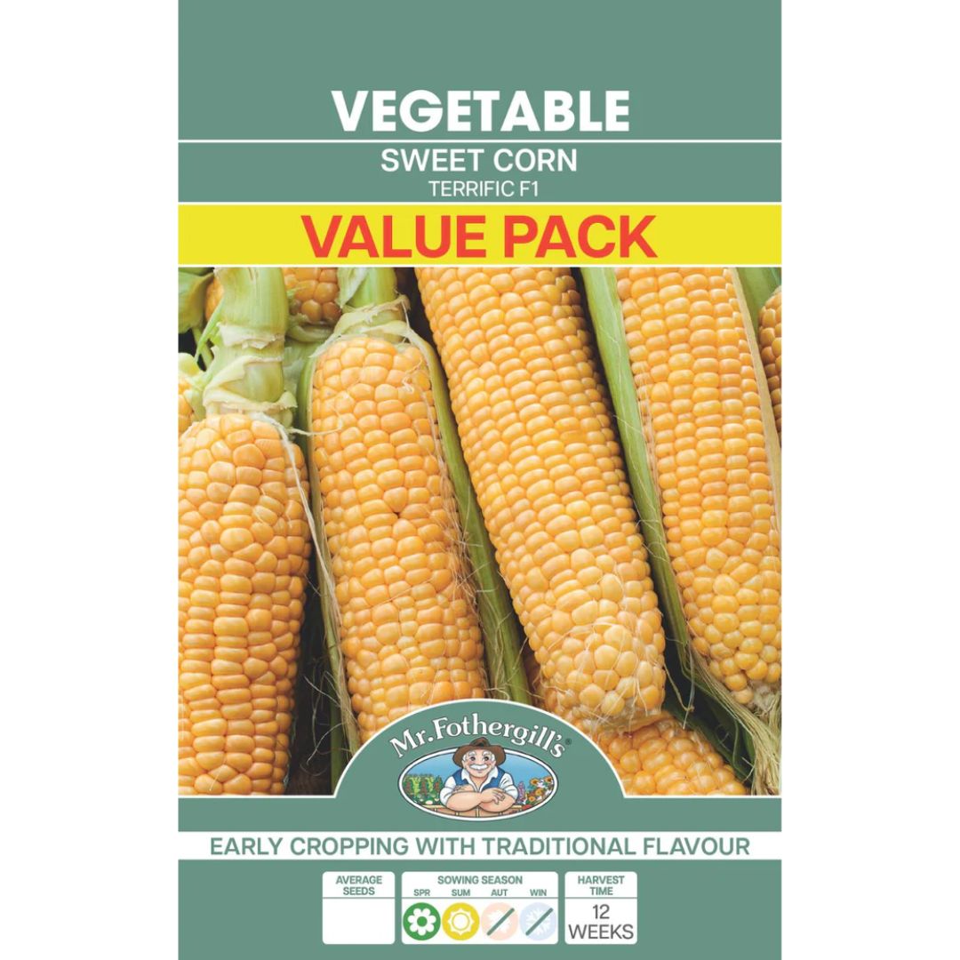 Sweet Corn Terrific