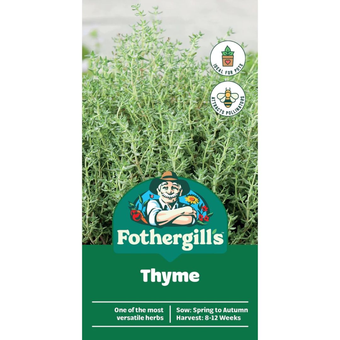 Thyme