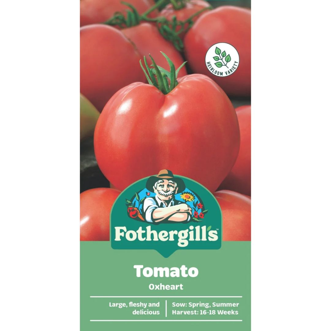 Fothergills Tomato Oxheart