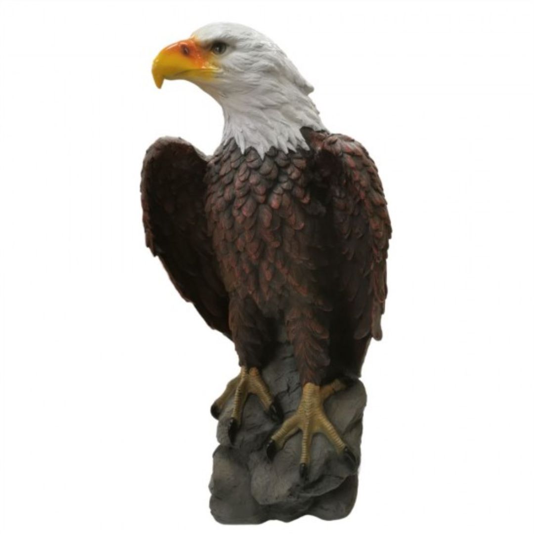 Eagle Fiberglass 62cm